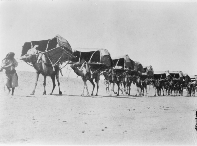 AlUla World Archaeology Symposium 2024